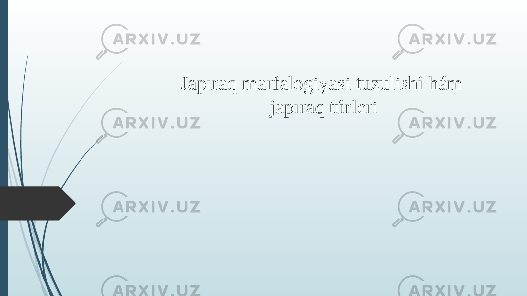 Japıraq marfalogiyasi tuzulishi hám japıraq túrleri 