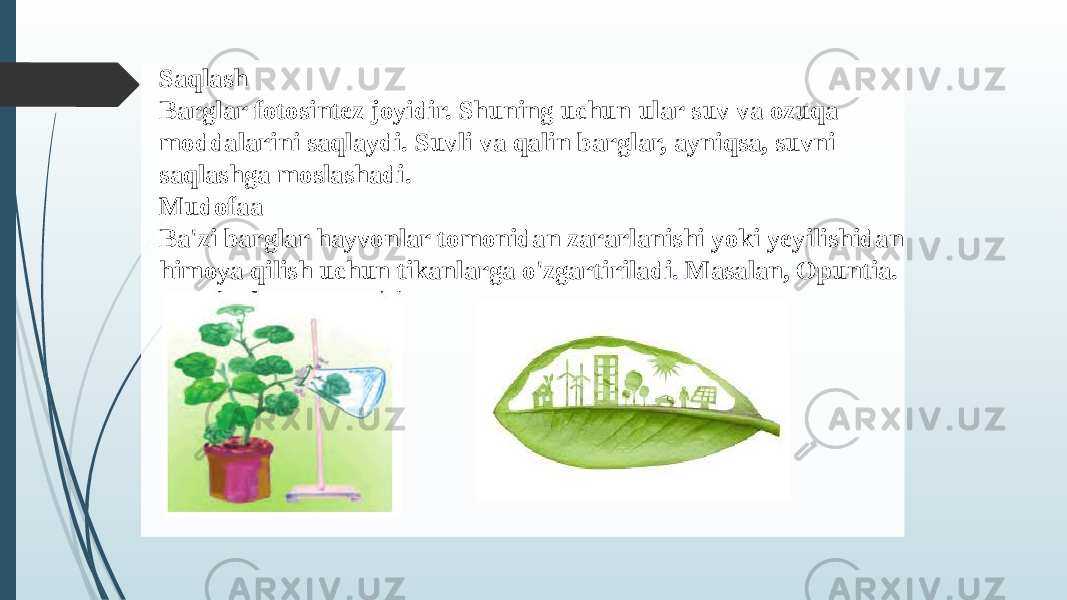 Saqlash Barglar fotosintez joyidir. Shuning uchun ular suv va ozuqa moddalarini saqlaydi. Suvli va qalin barglar, ayniqsa, suvni saqlashga moslashadi. Mudofaa Ba&#39;zi barglar hayvonlar tomonidan zararlanishi yoki yeyilishidan himoya qilish uchun tikanlarga o&#39;zgartiriladi. Masalan, Opuntia. 