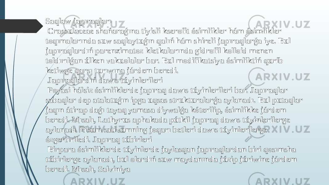 Saqlaw japıraqları Crassulaceae shańaraǵına tiyisli kserofit ósimlikler hám ósimlikler toqımalarında suw saqlaytuǵın qalıń hám shireli japıraqlarǵa iye. Bul japıraqlardıń parenximatoz kletkalarında gidrofil kolloid menen toldırılǵan úlken vakuolalar bar. Bul modifikatsiya ósimliktiń qurib ketiwge qarsı turıwına járdem beredi. Japıraqlardıń dawıs túyinlerileri Poyasi hálsiz ósimliklerde japıraq dawıs túyinlerileri bar. Japıraqlar sabaqlar dep atalatuǵın ipga uqsas strukturalarǵa aylanadı. Bul putaqlar jaqın átirap daǵı tayaq yamasa diywalǵa kóterilip, ósimlikke járdem beredi. Mısalı, Lathyrus aphakada pútkil japıraq dawıs túyinlerilerge aylanadı. Pisum sativumning joqarı betleri dawıs túyinlerilerge ózgertiriledi. Japıraq túbirleri Birpara ósimliklerde túyinlerde jaylasqan japıraqlardan biri qosımsha túbirlerge aylanadı, bul olardıń suw maydanında júzip júriwine járdem beredi. Mısalı, Salviniya 