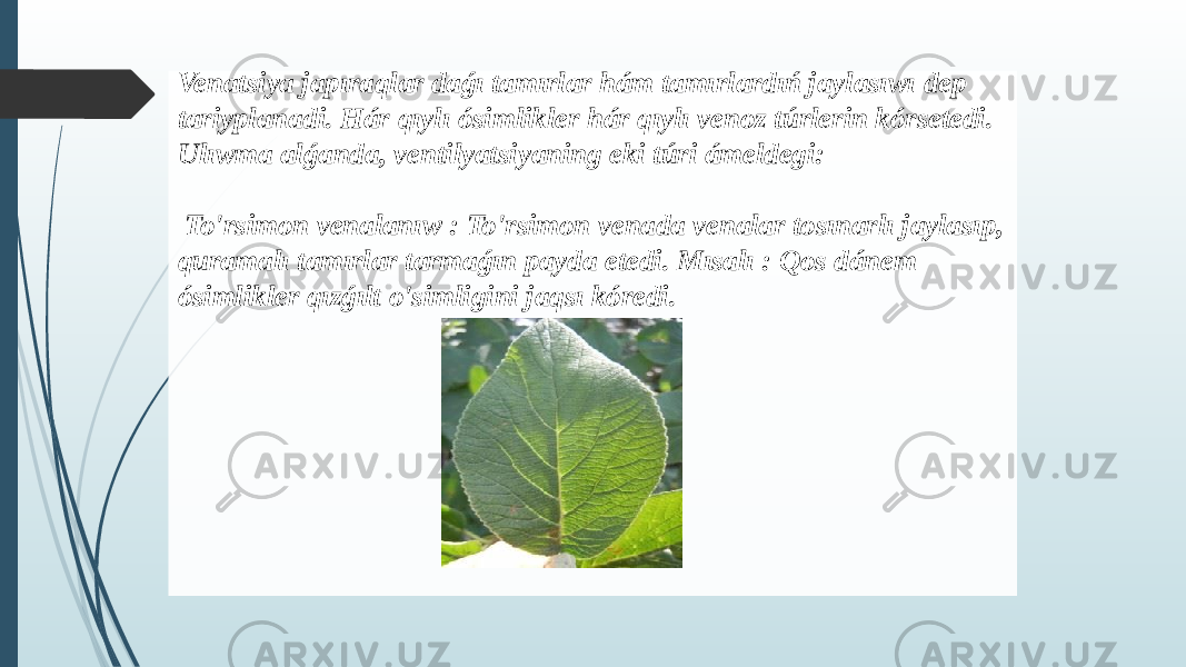 Venatsiya japıraqlar daǵı tamırlar hám tamırlardıń jaylasıwı dep tariyplanadi. Hár qıylı ósimlikler hár qıylı venoz túrlerin kórsetedi. Ulıwma alǵanda, ventilyatsiyaning eki túri ámeldegi: To&#39;rsimon venalanıw : To&#39;rsimon venada venalar tosınarlı jaylasıp, quramalı tamırlar tarmaǵın payda etedi. Mısalı : Qos dánem ósimlikler qızǵılt o&#39;simligini jaqsı kóredi. 