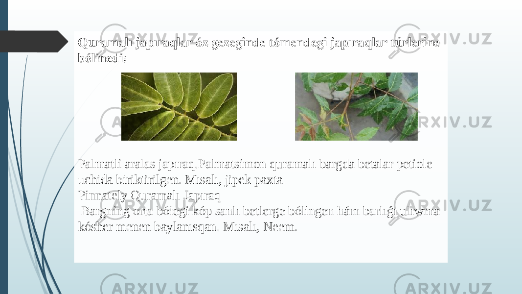 Palmatli aralas japıraq.Palmatsimon quramalı bargda betalar petiole uchida biriktirilgen. Mısalı, jipek paxta . Pinnately Quramalı Japıraq Bargning orta bólegi kóp sanlı betlerge bólingen hám barlıǵı ulıwma kósher menen baylanısqan. Mısalı, Neem.Quramalı japıraqlar óz gezeginde tómendegi japıraqlar túrlerine bólinedi: 