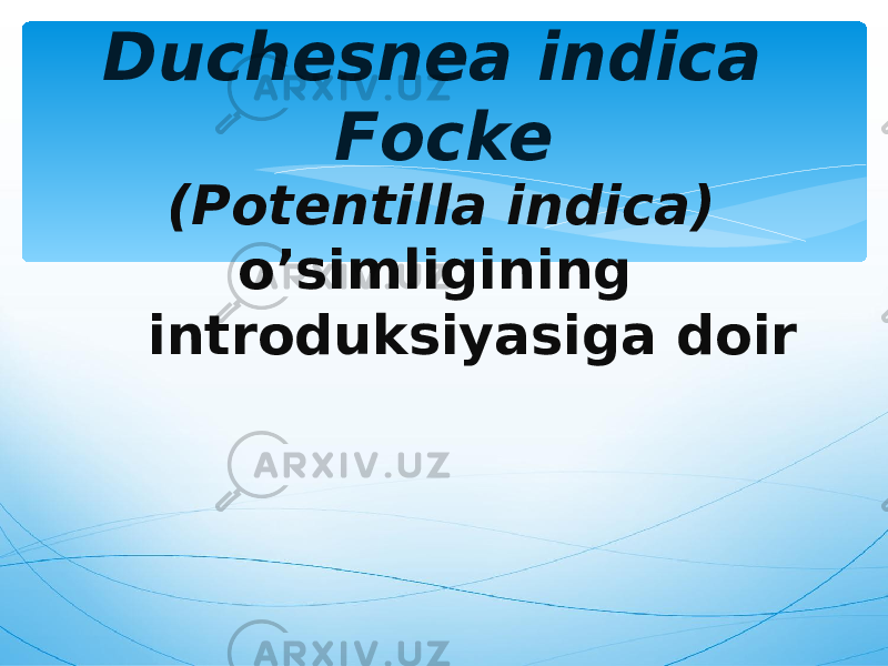 Duchesnea indica Focke (Potentilla indica) o’simligining introduksiyasiga doir 