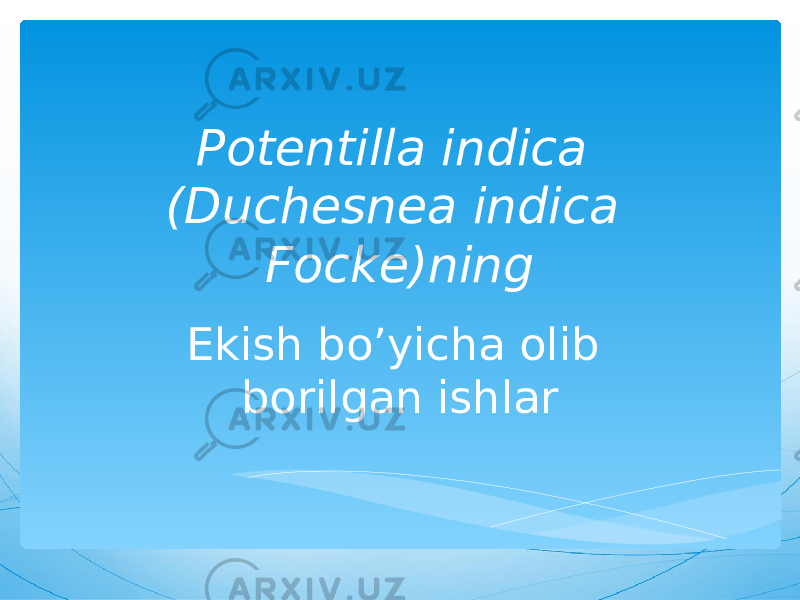 Potentilla indica (Duchesnea indica Focke)ning Ekish bo’yicha olib borilgan ishlar 