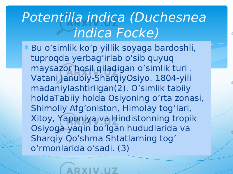  Bu o’simlik ko’p yillik soyaga bardoshli, tuproqda yerbag’irlab o’sib quyuq maysazor hosil qiladigan o’simlik turi . Vatani Janubiy-SharqiyOsiyo. 1804-yili madaniylashtirilgan(2). O’simlik tabiiy holdaTabiiy holda Osiyoning o’rta zonasi, Shimoliy Afg’oniston, Himolay tog’lari, Xitoy, Yaponiya va Hindistonning tropik Osiyoga yaqin bo’lgan hududlarida va Sharqiy Qo’shma Shtatlarning tog’ o’rmonlarida o’sadi. (3)Potentilla indica (Duchesnea indica Focke) 