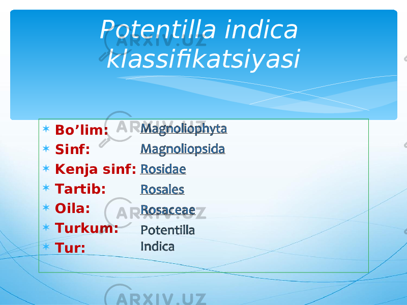  Bo’lim:  Sinf:  Kenja sinf:  Tartib:  Oila:  Turkum:  Tur: Potentilla indica klassifikatsiyasi 