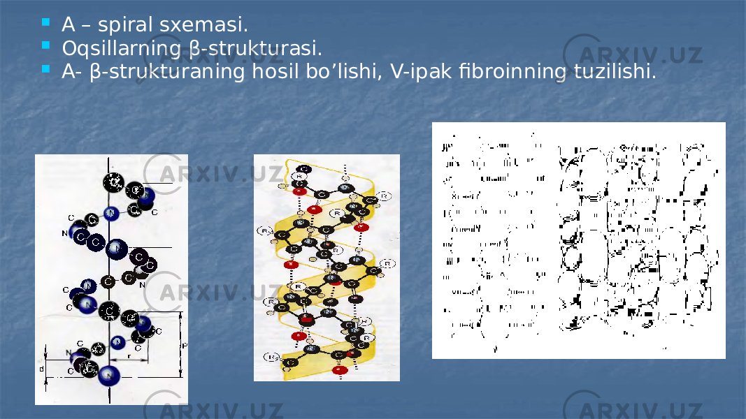  Α – spirаl sхеmаsi.  Оqsillаrning β-strukturаsi.  А- β-strukturаning hоsil bo’lishi, V-ipаk fibrоinning tuzilishi. 