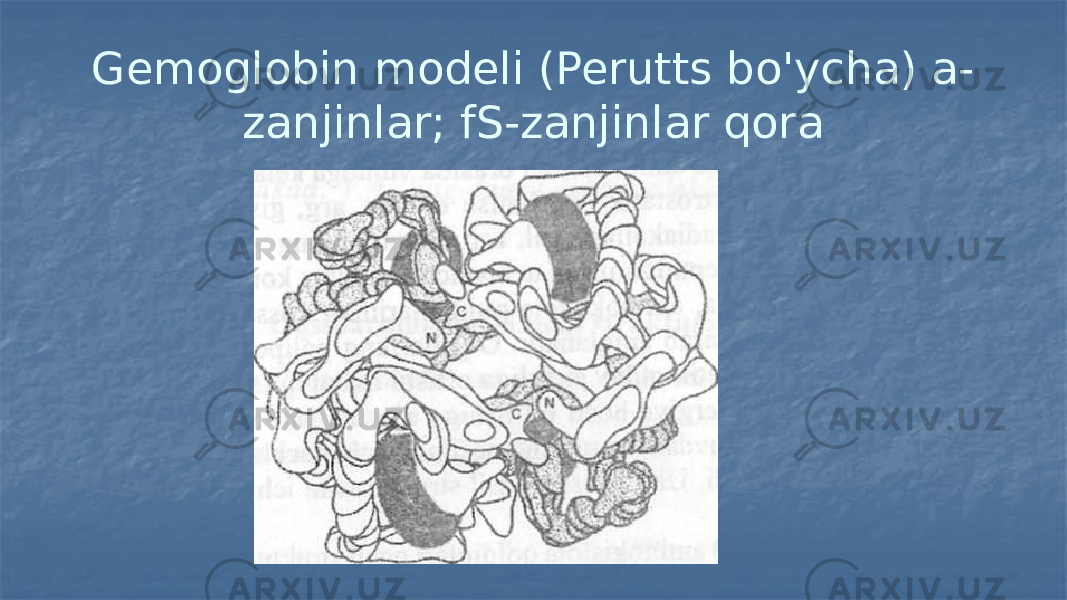 Gemoglobin modeli (Perutts bo&#39;ycha) a- zanjinlar; fS-zanjinlar qora 
