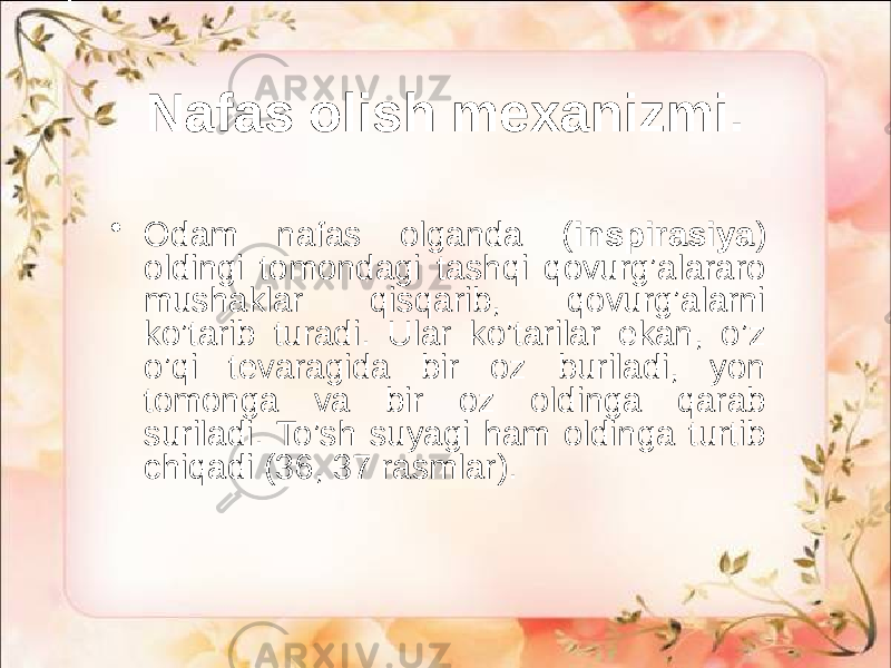 Nafas olish mexanizmi. • Odam nafas olganda ( inspirasiya ) oldingi tomondagi tashqi qovurg’alararo mushaklar qisqarib, qovurg’alarni ko’tarib turadi. Ular ko’tarilar ekan, o’z o’qi tevaragida bir oz buriladi, yon tomonga va bir oz oldinga qarab suriladi. To’sh suyagi ham oldinga turtib chiqadi (36, 37 rasmlar). 