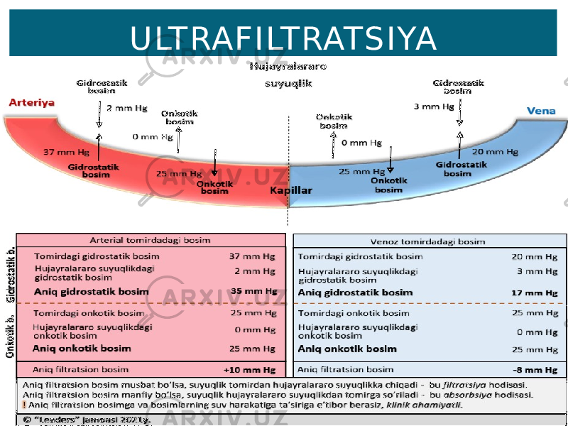 U LTRAF ILTRATSIYA 