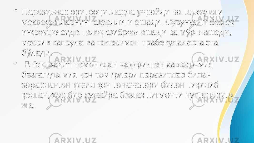 • Паразитлар эритроцитларда учрайди ва талоқдаги макрофагларнинг фаоллиги ошади. Сурункали безгак инфекциясида талоқ фиброзлашади ва мўртлашади, массив капсула ва толасимон трабекулаларга эга бўлади. • P. falciparum томонидан чақирилган хавфли мия безгагида мия қон томирлари паразитлар билан зарарланган қизил қон таначалари билан тиқилиб қолган, ҳар бир ҳужайра безгак пигменти нуқталарига эга. 