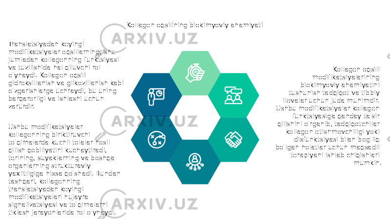 Kollagen oqsilining biokimyoviy ahamiyati Translatsiyadan keyingi modifikatsiyalar oqsillarning, shu jumladan kollagenning funktsiyasi va tuzilishida hal qiluvchi rol o&#39;ynaydi. Kollagen oqsili gidroksillanish va glikozillanish kabi o&#39;zgarishlarga uchraydi, bu uning barqarorligi va ishlashi uchun zarurdir. Ushbu modifikatsiyalar kollagenning biriktiruvchi to&#39;qimalarda kuchli tolalar hosil qilish qobiliyatini kuchaytiradi, terining, suyaklarning va boshqa organlarning strukturaviy yaxlitligiga hissa qo&#39;shadi. Bundan tashqari, kollagenning translatsiyadan keyingi modifikatsiyalari hujayra signalizatsiyasi va to&#39;qimalarni tiklash jarayonlarida rol o&#39;ynaydi. Kollagen oqsili modifikatsiyalarining biokimyoviy ahamiyatini tushunish tadqiqot va tibbiy ilovalar uchun juda muhimdir. Ushbu modifikatsiyalar kollagen funktsiyasiga qanday ta&#39;sir qilishini o&#39;rganib, tadqiqotchilar kollagen etishmovchiligi yoki disfunktsiyasi bilan bog&#39;liq bo&#39;lgan holatlar uchun maqsadli terapiyani ishlab chiqishlari mumkin. 