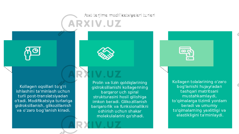 Post-tarjima modifikatsiyalari turlari Kollagen oqsillari to&#39;g&#39;ri ishlashini ta&#39;minlash uchun turli post-translatsiyadan o&#39;tadi. Modifikatsiya turlariga gidroksillanish, glikozillanish va oʻzaro bogʻlanish kiradi. Prolin va lizin qoldiqlarining gidroksillanishi kollagenning barqaror uch spiral strukturasini hosil qilishiga imkon beradi. Glikozillanish barqarorlik va funksionallikni oshirish uchun shakar molekulalarini qo&#39;shadi. Kollagen tolalarining o&#39;zaro bog&#39;lanishi hujayradan tashqari matritsani mustahkamlaydi, to&#39;qimalarga tizimli yordam beradi va umumiy to&#39;qimalarning yaxlitligi va elastikligini ta&#39;minlaydi. 