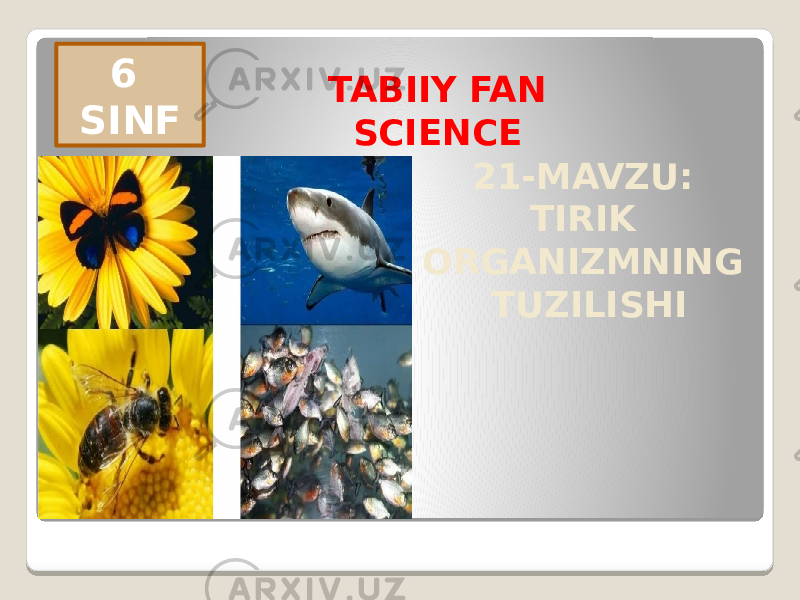 6 SINF TABIIY FAN SCIENCE 21-MAVZU: TIRIK ORGANIZMNING TUZILISHI 