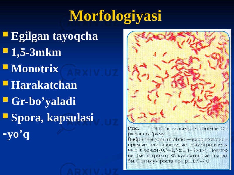 Morfologiyasi  Egilgan tayoqcha  1,5-3mkm  Monotrix  Harakatchan  Gr-boʼyaladi  Spora, kapsulasi - yoʼq 