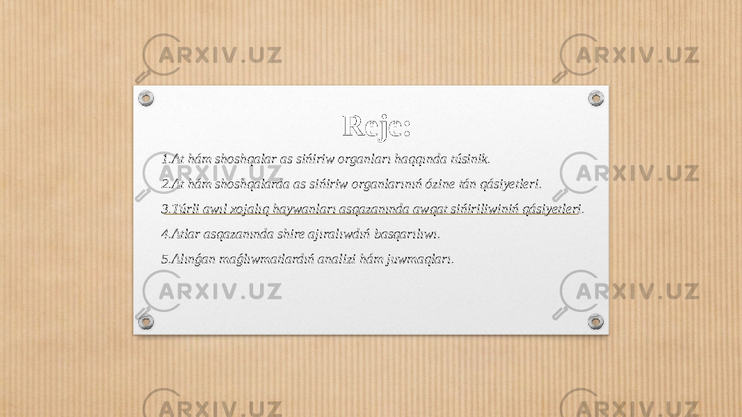 Reje: 1.At hám shoshqalar as sińiriw organları haqqında túsinik. 2.At hám shoshqalarda as sińiriw organlarınıń ózine tán qásiyetleri. 3.Túrli awıl xojalıq haywanları asqazanında awqat sińiriliwiniń qásiyetleri. 4.Atlar asqazanında shire ajıralıwdıń basqarılıwı. 5.Alınǵan maǵlıwmatlardıń analizi hám juwmaqları. 