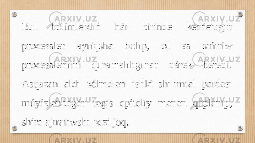 Bul bólimlerdiń hár birinde keshetuǵın processler ayriqsha bolıp, ol as sińiriw processleriniń quramalılıgınan dárek beredi. Asqazan aldı bólmeleri ishki shılımtal perdesi múyizlenbegen tegis epiteliy menen qaplanıp, shire ajıratıwshı bezi joq. 