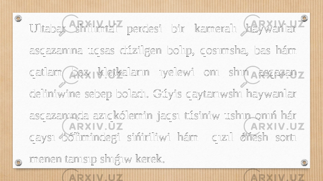 Ultabar shılımtal perdesi bir kameralı haywanlar asqazanına uqsas dúzilgen bolıp, qosımsha, bas hám qatlam bez kletkaların ıyelewi onı shın asqazan deliniwine sebep boladı. Gúyis qaytarıwshı haywanlar asqazanında azıqkólemin jaqsı túsiniw ushın onıń hár qaysı bólimindegi sińiriliwi hám qızıl óńesh sortı menen tanısıp shıǵıw kerek. 