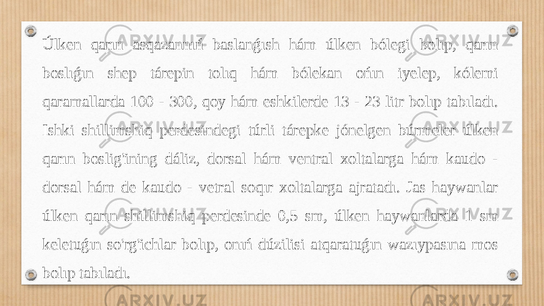 Úlken qarın asqazannıń baslanǵısh hám úlken bólegi bolıp, qarın boslıǵın shep tárepin tolıq hám bólekan ońın iyelep, kólemi qaramallarda 100 - 300, qoy hám eshkilerde 13 - 23 litr bolıp tabıladı. Ishki shillimshiq perdesindegi túrli tárepke jónelgen búrmeler úlken qarın boslig&#39;ining dáliz, dorsal hám ventral xoltalarga hám kaudo - dorsal hám de kaudo - vetral soqır xoltalarga ajratadı. Jas haywanlar úlken qarın shillimshiq perdesinde 0,5 sm, úlken haywanlarda 1 sm keletuǵın so&#39;rg&#39;ichlar bolıp, onıń dúzilisi atqaratuǵın wazıypasına mos bolıp tabıladı. 