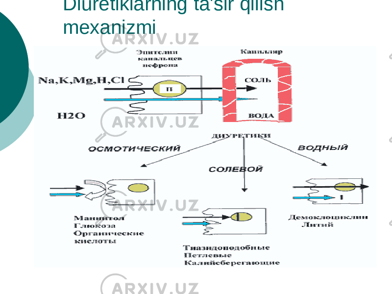 Diuretiklarning ta&#39;sir qilish mexanizmi 