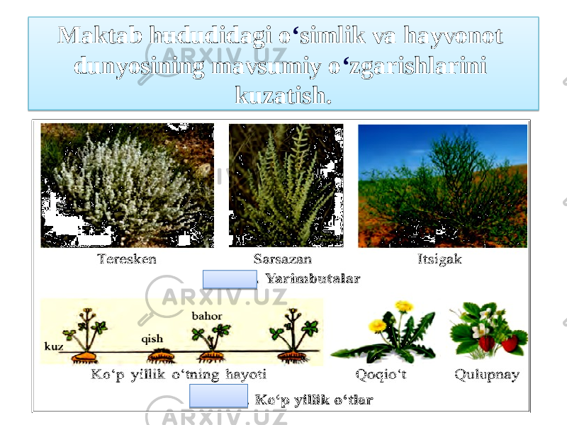 Maktab hududidagi o ʻ simlik va hayvonot dunyosining mavsumiy o ʻ zgarishlarini kuzatish.11 0C 09 140D 0C 17 120D 