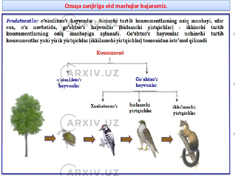 Ozuqa zanjiriga oid mashqlar bajaramiz.01 