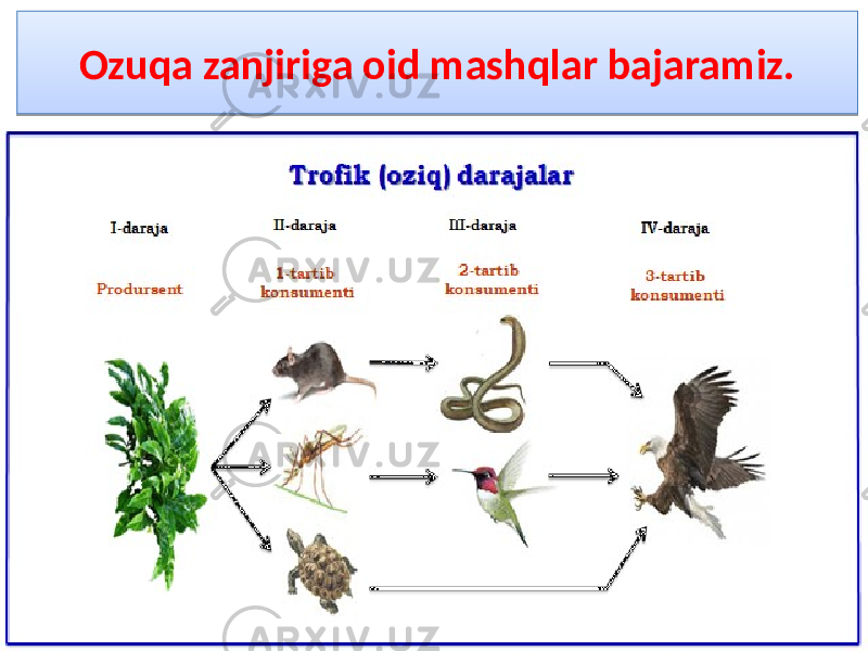 Ozuqa zanjiriga oid mashqlar bajaramiz.01 