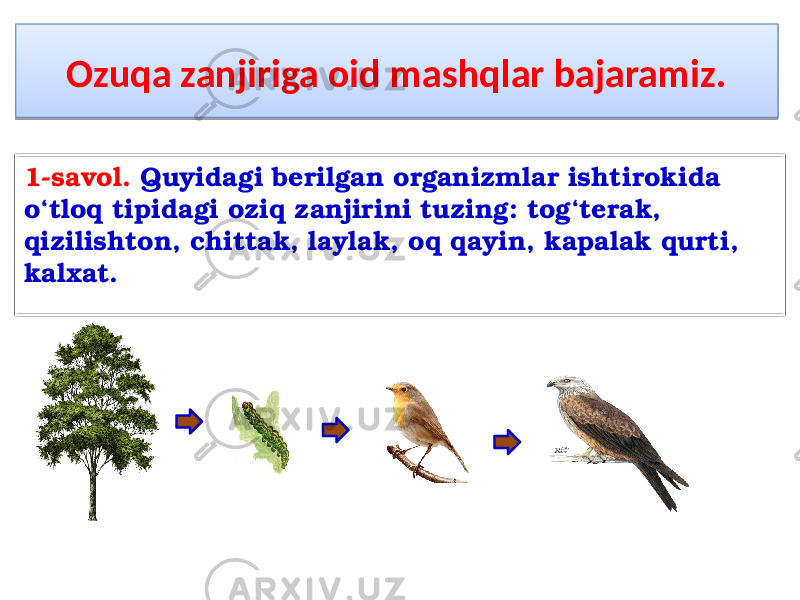 Ozuqa zanjiriga oid mashqlar bajaramiz. 1-savol. Quyidagi berilgan organizmlar ishtirokida o‘tloq tipidagi oziq zanjirini tuzing: tog‘terak, qizilishton, chittak, laylak, oq qayin, kapalak qurti, kalxat.01 