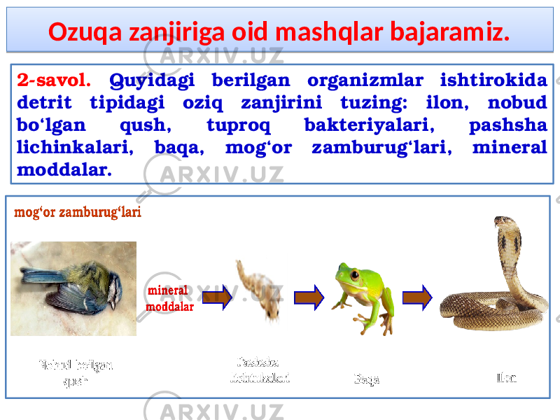 Ozuqa zanjiriga oid mashqlar bajaramiz. 2-savol. Quyidagi berilgan organizmlar ishtirokida detrit tipidagi oziq zanjirini tuzing: ilon, nobud bo‘lgan qush, tuproq bakteriyalari, pashsha lichinkalari, baqa, mog‘or zamburug‘lari, mineral moddalar.01 