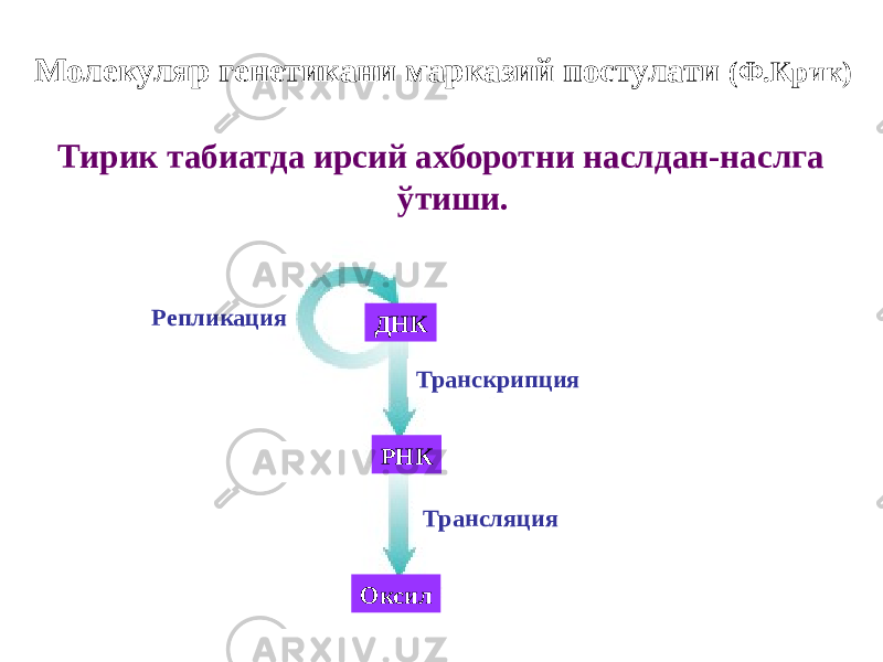  Молекуляр генетикани марказий постулати (Ф.Крик) Тирик табиатда ирсий ахборотни наслдан-наслга ўтиши. Оксил РНКДНК ТрансляцияТранскрипцияРепликация 