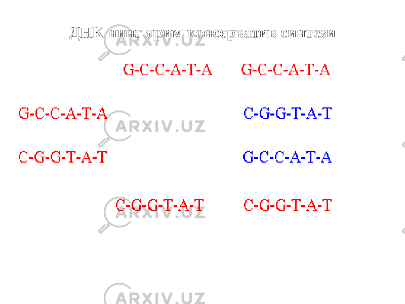 ДНК нинг ярим консерватив синтези 