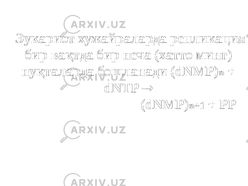 Эукариот хужайраларда репликация бир вақтда бир неча (хатто минг) нуқталарда бошланади (dNMP) n + dNTP  (dNMP) n+1 + PP 