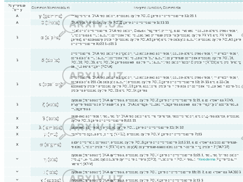 Eukaryotic DNA Polymerases Polymerase Family Common Nomenclature Enzyme Function, Comments A γ (gamma) mitochondrial DNA replication; encoded by the POLG gene on chromosome 15q26.1 A θ (theta) DNA repair; encoded by the POLQ gene on chromosome 3q13.33 B α (alpha) initiation of chromosomal DNA replication, Okazaki fragment priming, also involved in double-strand break repair; functions as a multisubunit complex that included two primase proteins (encoded by the PRIM1 and PRIM2A genes), an accessory protein (encoded by the POLA2 gene) and the catalytic subunit encoded by the POLA1 gene on chromosome Xp22.1–p21.3 B δ (delta) chromosomal DNA replication elongation, nucleotide excision repair, double-strand break repair, mismatch repair; consists of a multisubunit complex that includes the four subunit polymerase complex encoded by the POLD1, POLD2, POLD3, and POLD4 genes as well as the multisubunit replication factor C protein (RFC1) and proliferating cell nuclear antigen (PCNA) B ε (epsilon) chromosomal DNA replication elongation, nucleotide excision repair, double-strand break repair, mismatch repair; consists of a 261kDa catalytic subunit encoded by the POLE gene on chromosome 12q24.33 and a 55kDa accessory protein encoded by the POLE2 gene, additional proteins in the epsilon complex include two histone-fold proteins encoded by the POLE3 and POLE4 genes B ζ (zeta) bypass (translesion) DNA synthesis; encoded by the POLZ gene on chromosome 6q21; also known as REV3; enzyme responsible for essentially all DNA damage-induced mutagenesis as well as the majority of spontaneous mutagenesis X β (beta) base-excision repair, required for DNA replication and maintenance, recombination, and drug-resistance; encoded by the POLB gene on chromosome 8p11.21 X λ (lambda) base-excision repair; encoded by the POLL gene on chromosome 10q24.32 X μ (mu) non-homologous end joining (NHEJ); encoded by the POLM gene on chromosome 7p13 X σ (sigma) sister chromatid cohesion; encoded by the POLS gene on chromosome 5p15.31; also known as topoisomerase- related function protein 4 (TRF4) and poly(A) polymerase-associated domain-containing protein 7 (PAPD7) Y η (eta) bypass (translesion) DNA synthesis; encoded by the POLH gene on chromosome 6p21.1; required for replication through uv-induced cyclobutane pyrimidine dimers (CPD); mutations in POLH result in Xeroderma Pigmentosum  variant (XP-V) Y ι (iota) bypass (translesion) DNA synthesis; encoded by the POLI gene on chromosome 18q21.2; also known as RAD30B Y κ (kappa) bypass (translesion) DNA synthesis; encoded by the POLK gene on chromosome 5q13.3 Y Rev1L bypass (translesion) DNA synthesis; encoded by the REV1 gene; interacts with POLK and is essential for POLK function 