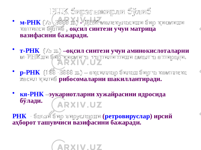 РНК бирзанжирли бўлиб • м-РНК (75 -3000 н.) - ДНК молекуласини бир қисмини копияси бўлиб , оқсил синтези учун матрица вазифасини бажаради. • т-РНК (75 н.) –оқсил синтези учун аминокислоталарни м-РНКни бир қисмига ташилишини амалга оширади. • р-РНК (100 -3000 н.) – оқсиллар билан бирга комплекс хосил қилиб рибосомаларни шакиллантиради. • кя-РНК – эукариотларни хужайрасини ядросида бўлади. РНК - баъзи бир вирусларни ( ретровируслар ) ирсий аҳборот ташувчиси вазифасини бажаради. 