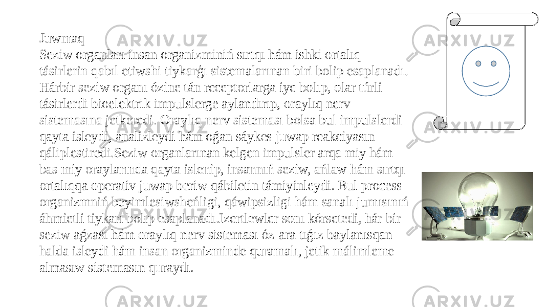 Juwmaq Seziw organları insan organizminiń sırtqı hám ishki ortalıq tásirlerin qabıl etiwshi tiykarģı sistemalarınan biri bolip esaplanadı. Hárbir seziw organı ózine tán receptorlarga iye bolıp, olar túrli tásirlerdi bioelektrik impulslerge aylandırıp, oraylıq nerv sistemasına jetkeredi. Oraylıq nerv sisteması bolsa bul impulslerdi qayta isleydi, analizleydi hám oǵan sáykes juwap reakciyasın qáliplestiredi.Seziw organlarınan kelgen impulsler arqa miy hám bas miy oraylarında qayta islenip, insannıń seziw, ańlaw hám sırtqı ortalıqqa operativ juwap beriw qábiletin támiyinleydi. Bul process organizmniń beyimlesiwsheńligi, qáwipsizligi hám sanalı jumısınıń áhmietli tiykarı bolıp esaplanadı.Izertlewler sonı kórsetedi, hár bir seziw aǵzası hám oraylıq nerv sisteması óz-ara tıǵız baylanısqan halda isleydi hám insan organizminde quramalı, jetik málimleme almasıw sistemasın quraydı. 