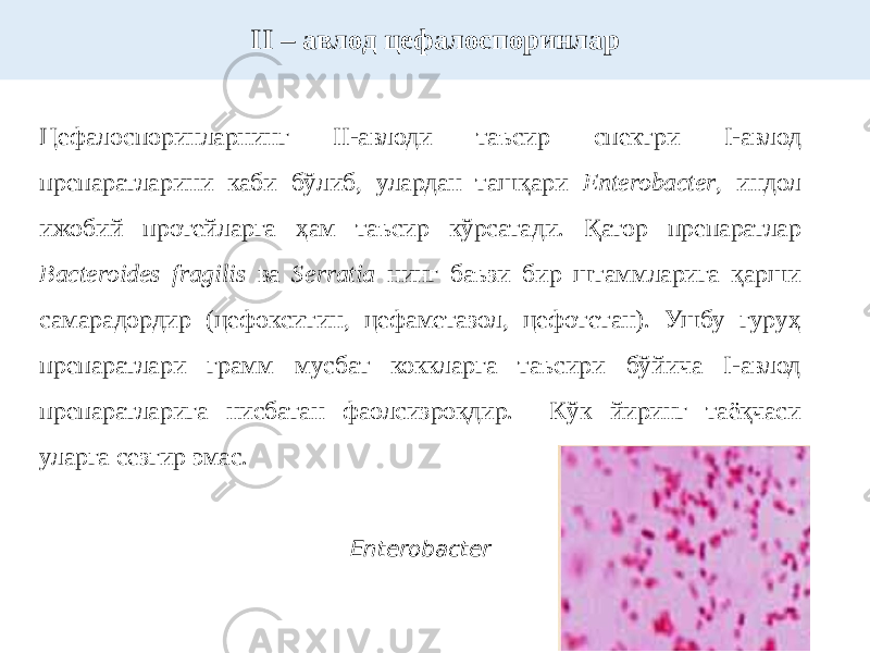 Цефалоспоринларнинг II-авлоди таъсир спектри I-авлод препаратларини каби бўлиб, улардан ташқари Enterobacter , индол ижобий протейларга ҳам таъсир кўрсатади. Қатор препаратлар Bacteroides fragilis ва Serratia нинг баъзи бир штаммларига қарши самарадордир (цефокситин, цефаметазол, цефотетан). Ушбу гуруҳ препаратлари грамм мусбат коккларга таъсири бўйича I-авлод препаратларига нисбатан фаолсизроқдир. Кўк йиринг таёқчаси уларга сезгир эмас. II – авлод цефалоспоринлар Enterobacter 