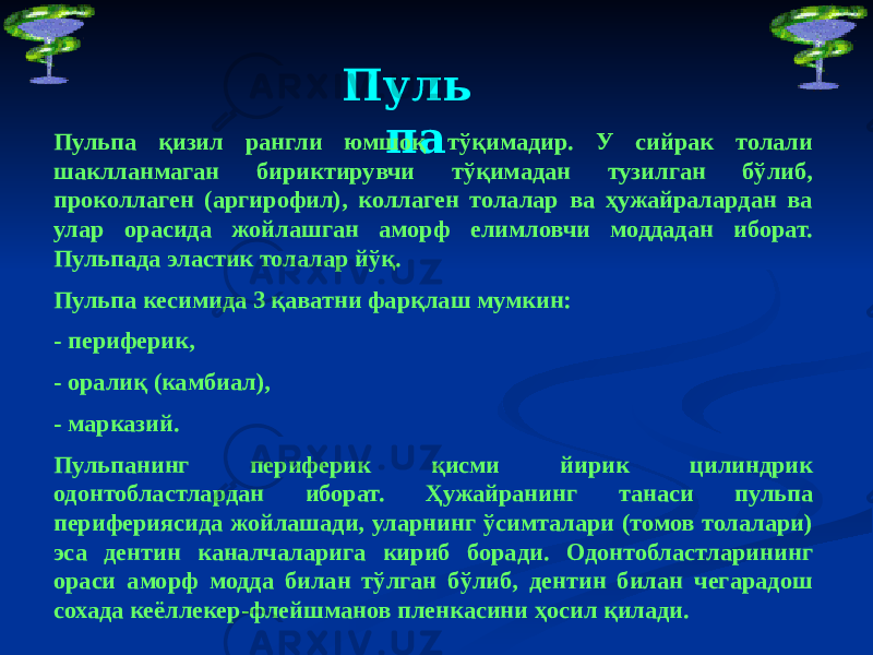 Пуль паПульпа қизил рангли юмшоқ тўқимадир. У сийрак толали шаклланмаган бириктирувчи тўқимадан тузилган бўлиб, проколлаген (аргирофил), коллаген толалар ва ҳужайралардан ва улар орасида жойлашган аморф елимловчи моддадан иборат. Пульпада эластик толалар йўқ. Пульпа кесимида 3 қаватни фарқлаш мумкин: - периферик, - оралиқ (камбиал), - марказий. Пульпанинг периферик қисми йирик цилиндрик одонтобластлардан иборат. Ҳужайранинг танаси пульпа перифериясида жойлашади, уларнинг ўсимталари (томов толалари) эса дентин каналчаларига кириб боради. Одонтобластларининг ораси аморф модда билан тўлган бўлиб, дентин билан чегарадош сохада кеёллекер-флейшманов пленкасини ҳосил қилади. 