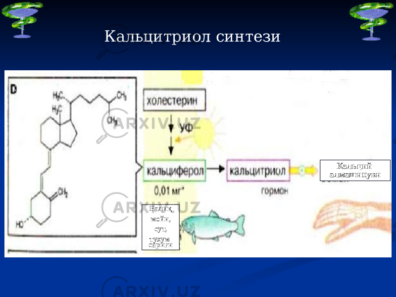 Кальцитриол синтези Кальций алмашинуви Балиқ мойи, сут, тухум сариғи 