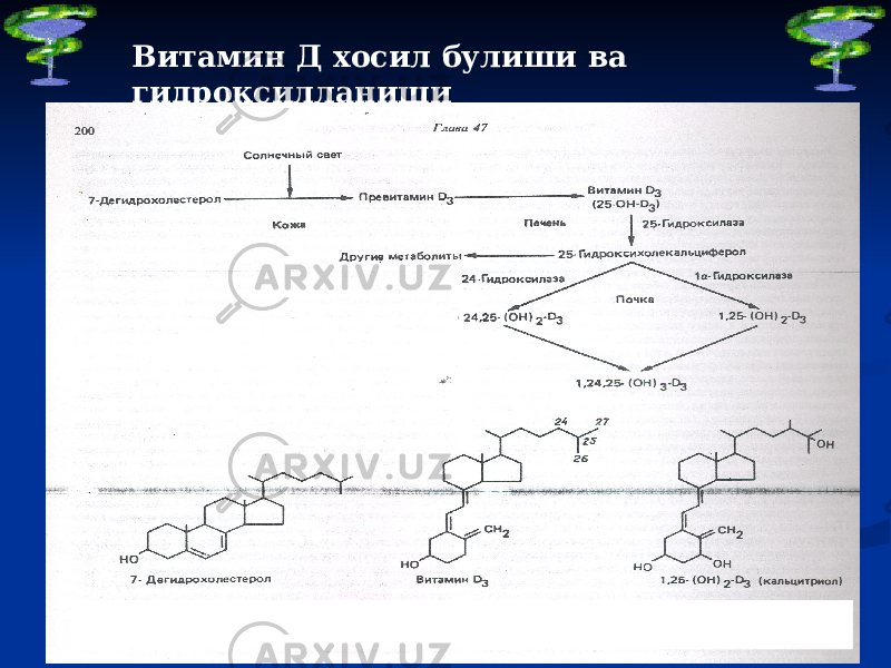 Витамин Д хосил булиши ва гидроксилланиши 