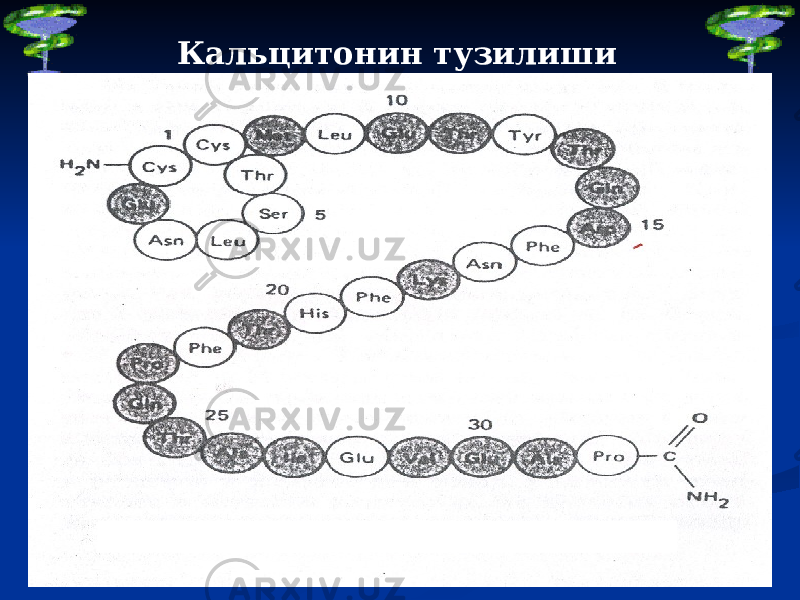 Кальцитонин тузилиши 