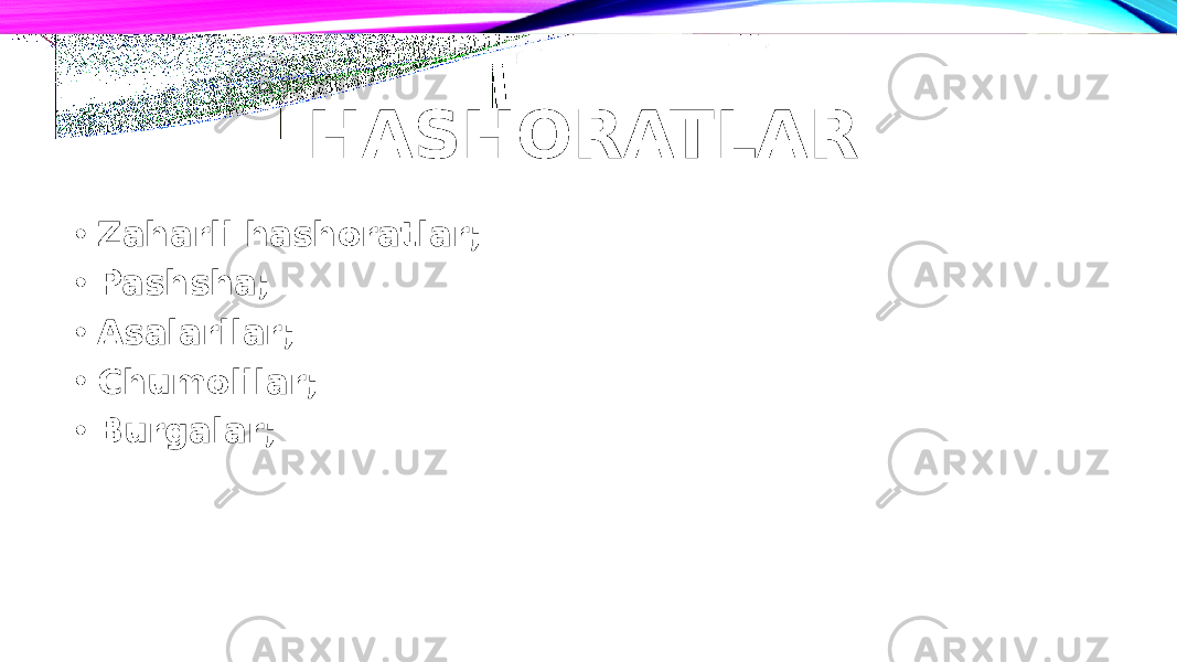 HASHORATLAR • Zaharli hashoratlar; • Pashsha; • Asalarilar; • Chumolilar; • Burgalar; 