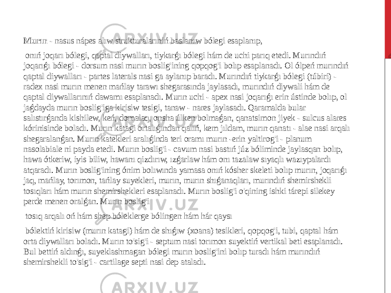  Murın - nasus nápes alıw strukturalarıniń baslanıw bólegi esaplanıp, onıń joqarı bólegi, qaptal diywalları, tiykarǵı bólegi hám de uchi parıq etedi. Murındıń joqarıǵı bólegi - dorsum nasi murın boslig&#39;ining qopqog&#39;i bolıp esaplanadı. Ol ólpeń murındıń qaptal diywalları - partes laterals nasi ga aylanıp baradı. Murındıń tiykarǵı bólegi (túbiri) - radex nasi murın menen mańlay tarawı shegarasında jaylasadı, murındıń diywali hám de qaptal diywallarınıń dawamı esaplanadı. Murın uchi - apex nasi joqarıǵı erin ústinde bolıp, ol jaǵdayda murın boslig&#39;iga kirisiw tesigi, tanaw - nares jaylasadı. Qaramalda bular salıstırǵanda kishilew, keń, domalaq, onsha úlken bolmaǵan, qanatsimon jiyek - sulcus alares kórinisinde boladı. Murın katagi ortalıǵından qalıń, kem jıldam, murın qanatı - alae nasi arqalı shegaralanǵan. Murın katekleri aralıǵinda teri oramı murın -erin yaltirog&#39;i - planum nasolabiale ni payda etedi. Murın boslig&#39;i - cavum nasi bastıń júz bóliminde jaylasqan bolıp, hawa ótkeriw, iyis biliw, hawanı qizdırıw, ızǵarlaw hám onı tazalaw sıyaqlı wazıypalardı atqaradı. Murın boslig&#39;ining ónim bolıwında yamasa onıń kósher skeleti bolıp murın, joqarıǵı jaq, mańlay, torımon, tańlay suyekleri, murın, murın shıǵanaqları, murındıń shemirshekli tosıqları hám murın shemirshekleri esaplanadı. Murın boslig&#39;i o&#39;qining ishki tárepi silekey perde menen oralǵan. Murın boslig&#39;i tosıq arqalı oń hám shep bóleklerge bólingen hám hár qaysı bólektiń kirisiw (murın katagi) hám de shıǵıw (xoana) tesikleri, qopqog&#39;i, tubi, qaptal hám orta diywalları boladı. Murın to&#39;sig&#39;i - septum nasi torımon suyektiń vertikal beti esaplanadı. Bul bettiń aldınǵı, suyeklashmagan bólegi murın boslig&#39;ini bolıp turadı hám murındıń shemirshekli to&#39;sig&#39;i - cartilage septi nasi dep ataladı. 