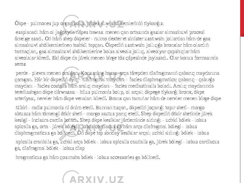  Ókpe - pulmones jup organ bolıp, nápes alıw shólkemleriniń tiykarǵısı esaplanadı hám ol jaǵdayda nápes hawası menen qan ortasında gazlar almasinuvi procesi ámelge asadı. Oń hám shep ókpeler - rulmo dexter et sinister uzatıwshı jollardan hám de gaz almasinuvi shólkemlerinen tashkil tapqan. Ókpediń uzatıwshı jollıqǵa bronxlar hám olardıń tarmaqları, gaz almasinuvi shólkemlerine bolsa alveola jollıq, alveolyar qapshıqlar hám alveolalar kiredi. Eki ókpe da júrek menen birge tós qápesinde jaylasadı. Olar konus formasında seroz perde - plevra menen oralǵan. Konusning hasası arqa tárepden diafragmanıń qabarıq maydanına qaragan. Hár bir ókpediń oyıq - diafragmal maydanı - facies diaphragmatica; qabarıq - qabırǵa maydanı - facies costalis hám aralıq maydanı - facies mediastinalis boladı. Aralıq maydanında tereńlashgan ókpe dárwazası - hilus pulmonis bolıp, ol arqalı ókpege tiykarǵı bronx, ókpe arteriyası, nervler hám ókpe venaları kiredi. Bronx qan tamırlar hám de nervler menen birge ókpe túbiri - radix pulmonis ni ónim etedi. Bunnan tısqarı, ókpediń joqarıǵı topır sheti - margo abtusus hám tómengi ótkir sheti - margo asutus parıq etedi. Shep ókpediń ótkir shetinde júrek kesigi - incisura cardia boladı. Shep ókpe kesiklar járdeminde aldınǵı - uchki bólek - lobus apicalis ga, orta - júrek bólegi - lobus cordiacus ga hám arqa diafragmal bólegi - lobus diaphragmaticus ga bólinedi. Oń ókpe tap sonday kesiklar arqalı uchki aldınǵı bólek - lobus apicalis cranialis ga, uchki arqa bólek - lobus apicalis caudalis ga, júrek bólegi - lobus cardiacus ga, diafragmal bólek - lobus diap hragmaticus ga hám qosımsha bólek - lobus accessories ga bólinedi. 