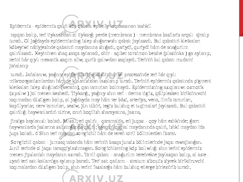  Epidermis - epidermis qalıń kóp qabatlı epiteliy toqımasınan tashkil tapqan bolıp, teri tiykarından ol tiykarǵı perde (membrana ) - membrana basilaris arqalı ajralıp turadı. Ol jaǵdayda epidermisning islep shıǵarıwshı qabatı jaylasadı. Bul qabattıń kletkaları kóbeyiwi nátiyjesinde qabattıń maydanına shıǵadı, qariydi, quriydi hám de anaǵurlım qalıńlasadı. Keyininen shaq zatqa aylanadı, ohir - aqıbet to&#39;rsimon betshe (plastinka ) ga aylanıp, terini hár qıylı mexanik zaqım aliw, qurib qalıwdan saqlaydı. Teriniń bul qabatı mudami jańalanıp turadı. Jańalanıw, yaǵnıy epidermisning kóship turıwı processinde teri hár qıylı mikroorganizmlardan hám de kirlanishdan tazalanıp turadı. Teriniń epidermis qabatında pigment kletkaları islep shıǵıladı (keratin), qan tamırları bolmaydı. Epidermisning azıqlanıwı osmotik (sıpalıw ) jol menen keshedi. Tiykarǵı, yaǵnıy shın teri - derma tig&#39;iz, qáliplesken biriktiruvchi toqımadan dúzilgen bolıp, ol jaǵdayda may hám ter bózi, arteriya, vena, limfa tamırları, kapillyarlar, nerv tamırları, seziw, jún túbiri, tegis bulshıq et tuqimalari jaylasadı. Bul qabattıń qalıńlıǵı haywanlardıń túrine, onıń boqilish sharayatına, jasına, jinsiga baylanıslı boladı. Mısalı, eń qalıńı - qaramalda, eń juqası - qoy hám eshkinde; ǵarrı haywanlarda jaslarına salıstırǵanda qalıń ; ayaqtıń qaptal maydanında qalıń, ishki maydan ida juqa boladı. d Shın teri maydan so&#39;rg&#39;ichli hám de tereń to&#39;rli bólimlerden ibarat. So&#39;rg&#39;ichli qabatı - jumsaq tabanda hám teriniń basqa junsiz bólimlerinde jaqsı rawajlanǵan. Junli terinde ol jaqsı taraqqiylashmagan. So&#39;rg&#39;ichlarning kóp bolıwlıǵı shın terini epidermis menen jipslanish maydanın asıradı. To&#39;rli qabatı - anaǵurlım tereńrekte jaylasqan bolıp, ol aste - uyań teri astı katlamiga aylanıp baradı. Teri astı qatlamı - stratum sibcutis siyrek biriktiruvchi toqımalardan dúzilgen bolıp, shın terini fazalarǵa hám bulshıq etlerge birlestirib turadı. 