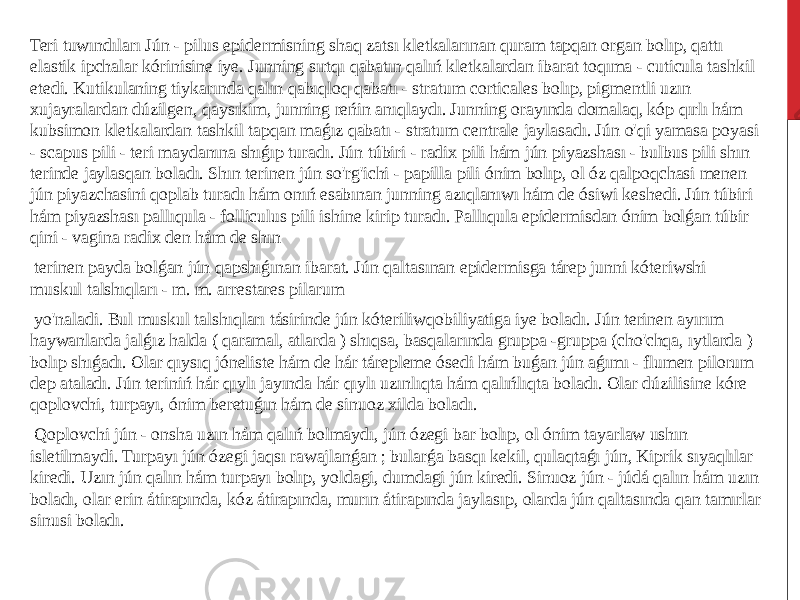 Teri tuwındıları Jún - pilus epidermisning shaq zatsı kletkalarınan quram tapqan organ bolıp, qattı elastik ipchalar kórinisine iye. Junning sırtqı qabatın qalıń kletkalardan ibarat toqıma - cuticula tashkil etedi. Kutikulaning tiykarında qalın qabıqloq qabatı - stratum corticales bolıp, pigmentli uzın xujayralardan dúzilgen, qaysıkim, junning reńin anıqlaydı. Junning orayında domalaq, kóp qırlı hám kubsimon kletkalardan tashkil tapqan maǵız qabatı - stratum centrale jaylasadı. Jún o&#39;qi yamasa poyasi - scapus pili - teri maydanına shıǵıp turadı. Jún túbiri - radix pili hám jún piyazshası - bulbus pili shın terinde jaylasqan boladı. Shın terinen jún so&#39;rg&#39;ichi - papilla pili ónim bolıp, ol óz qalpoqchasi menen jún piyazchasini qoplab turadı hám onıń esabınan junning azıqlanıwı hám de ósiwi keshedi. Jún túbiri hám piyazshası pallıqula - folliculus pili ishine kirip turadı. Pallıqula epidermisdan ónim bolǵan túbir qini - vagina radix den hám de shın terinen payda bolǵan jún qapshıǵınan ibarat. Jún qaltasınan epidermisga tárep junni kóteriwshi muskul talshıqları - m. m. arrestares pilarum yo&#39;naladi. Bul muskul talshıqları tásirinde jún kóteriliwqobiliyatiga iye boladı. Jún terinen ayırım haywanlarda jalǵız halda ( qaramal, atlarda ) shıqsa, basqalarında gruppa -gruppa (cho&#39;chqa, ıytlarda ) bolıp shıǵadı. Olar qıysıq jóneliste hám de hár tárepleme ósedi hám buǵan jún aǵımı - flumen pilorum dep ataladı. Jún teriniń hár qıylı jayında hár qıylı uzınlıqta hám qalıńlıqta boladı. Olar dúzilisine kóre qoplovchi, turpayı, ónim beretuǵın hám de sinuoz xilda boladı. Qoplovchi jún - onsha uzın hám qalıń bolmaydı, jún ózegi bar bolıp, ol ónim tayarlaw ushın isletilmaydi. Turpayı jún ózegi jaqsı rawajlanǵan ; bularǵa basqı kekil, qulaqtaǵı jún, Kiprik sıyaqlılar kiredi. Uzın jún qalın hám turpayı bolıp, yoldagi, dumdagi jún kiredi. Sinuoz jún - júdá qalın hám uzın boladı, olar erin átirapında, kóz átirapında, murın átirapında jaylasıp, olarda jún qaltasında qan tamırlar sinusi boladı. 