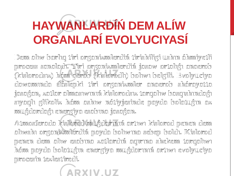 HAYWANLARDÍŃ DEM ALÍW ORGANLARÍ EVOLYUCIYASÍ Dem alıw barlıq tiri organizmlerdiń tirishiligi ushın áhmiyetli process sanaladı. Tiri organizmlerdiń jasaw ortalıǵı anaerob (kislorodsız) hám aerob (kislorodlı) bolıwı belgili. Evolyuciya dawamında dáslepki tiri organizmler anaerob shárayatta jasaǵan, zatlar almasıwınıń kislorodsız tarqalıw basqıshındaǵı sıyaqlı glikoliz hám ashıw nátiyjesinde payda bolatuǵın az muǵdardaǵı energiya esabına jasaǵan. Atmosferada kislorod muǵdarınıń artıwı kislorod penen dem alıwshı organizmlerdiń payda bolıwına sebep boldı. Kislorod penen dem alıw esabına zatlardıń aqırına shekem tarqalıwı hám payda bolatuǵın energiya muǵdarınıń artıwı evolyuciya procesin tezlestiredi. 