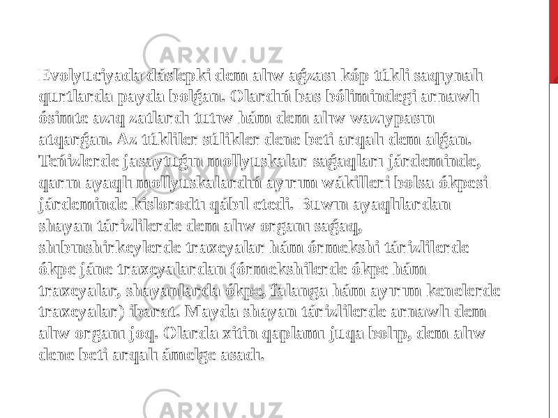 Evolyuciyada dáslepki dem alıw aǵzası kóp túkli saqıynalı qurtlarda payda bolǵan. Olardıń bas bólimindegi arnawlı ósimte azıq zatlardı tutıw hám dem alıw wazıypasın atqarǵan. Az túkliler súlikler dene beti arqalı dem alǵan. Teńizlerde jasaytuǵın mollyuskalar saǵaqları járdeminde, qarın ayaqlı mollyuskalardıń ayırım wákilleri bolsa ókpesi járdeminde kislorodtı qábıl etedi. Buwın ayaqlılardan shayan tárizlilerde dem alıw organı saǵaq, shıbınshirkeylerde traxeyalar hám órmekshi tárizlilerde ókpe jáne traxeyalardan (órmekshilerde ókpe hám traxeyalar, shayanlarda ókpe, falanga hám ayırım kenelerde traxeyalar) ibarat. Mayda shayan tárizlilerde arnawlı dem alıw organı joq. Olarda xitin qaplamı juqa bolıp, dem alıw dene beti arqalı ámelge asadı. 