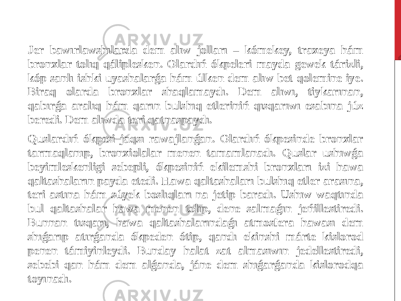 Jer bawırlawshılarda dem alıw jolları – kómekey, traxeya hám bronxlar tolıq qáliplesken. Olardıń ókpeleri mayda gewek tárizli, kóp sanlı ishki uyashalarǵa hám úlken dem alıw bet qolemine iye. Biraq olarda bronxlar shaqlamaydı. Dem alıwı, tiykarınan, qabırǵa aralıq hám qarın bulshıq etleriniń qısqarıwı esabına júz beredi. Dem alıwda teri qatnaspaydı. Quslardıń ókpesi jaqsı rawajlanǵan. Olardıń ókpesinde bronxlar tarmaqlanıp, bronxiolalar menen tamamlanadı. Quslar ushıwǵa beyimleskenligi sebepli, ókpesiniń ekilemshi bronxları izi hawa qaltashaların payda etedi. Hawa qaltashaları bulshıq etler arasına, teri astına hám súyek boslıqları-na jetip baradı. Ushıw waqtında bul qaltashalar hawa menen tolıp, dene salmaǵın jeńillestiredi. Bunnan tısqarı, hawa qaltashalarındaǵı atmosfera hawası dem shıǵarıp atırǵanda ókpeden ótip, qandı ekinshi márte kislorod penen támiyinleydi. Bunday halat zat almasıwın jedellestiredi, sebebi qan hám dem alǵanda, jáne dem shıǵarǵanda kislorodqa toyınadı. 