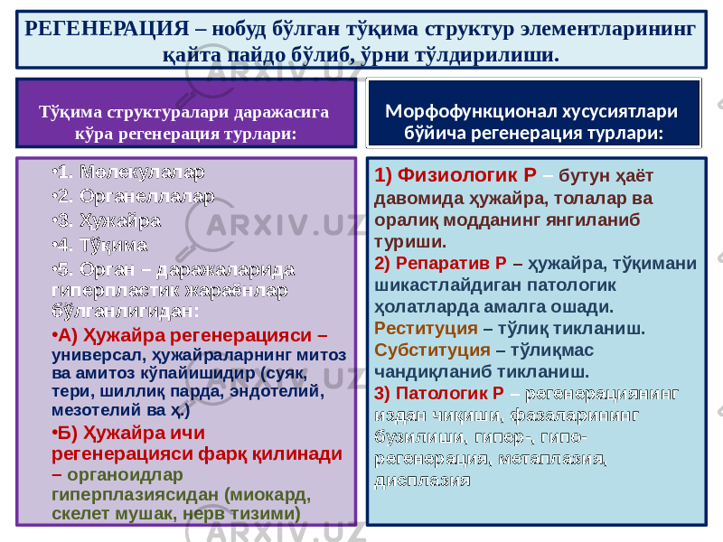 РЕГЕНЕРАЦИЯ – нобуд бўлган тўқима структур элементларининг қайта пайдо бўлиб, ўрни тўлдирилиши. Тўқима структуралари даражасига кўра регенерация турлари: • 1. Молекулалар • 2. Органеллалар • 3. Ҳужайра • 4. Тўқима • 5. Орган – даражаларида гиперпластик жараёнлар бўлганлигидан: • А) Ҳужайра регенерацияси – универсал, ҳужайраларнинг митоз ва амитоз кўпайишидир (суяк, тери, шиллиқ парда, эндотелий, мезотелий ва ҳ.) • Б) Ҳужайра ичи регенерацияси фарқ қилинади – органоидлар гиперплазиясидан (миокард, скелет мушак, нерв тизими) Морфофункционал хусусиятлари бўйича регенерация турлари: 1) Физиологик Р – бутун ҳаёт давомида ҳужайра, толалар ва оралиқ модданинг янгиланиб туриши. 2) Репаратив Р – ҳужайра, тўқимани шикастлайдиган патологик ҳолатларда амалга ошади. Реституция – тўлиқ тикланиш. Субституция – тўлиқмас чандиқланиб тикланиш. 3) Патологик Р – регенерациянинг издан чиқиши, фазаларининг бузилиши, гипер-, гипо- регенерация, метаплазия, дисплазия 