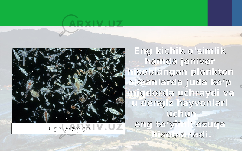 Eng kichik o‘simlik hamda jonivor hisoblangan plankton okeanlarda juda ko‘p miqdorda uchraydi va u dengiz hayvonlari uchun eng to‘yimli ozuqa hisoblanadi.Planktonlar 