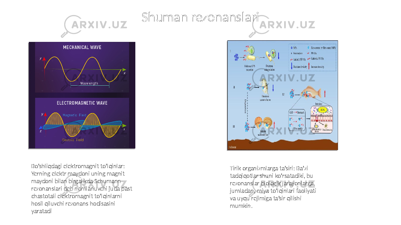 Shuman rezonanslari Bo’shliqdagi elektromagnit to’lqinlar: Yerning elektr maydoni uning magnit maydoni bilan birgalikda Schumann rezonanslari deb nomlanuvchi juda past chastotali elektromagnit to’lqinlarni hosil qiluvchi rezonans hodisasini yaratadi Tirik organizmlarga ta’siri: Ba’zi tadqiqotlar shuni ko’rsatadiki, bu rezonanslar biologik jarayonlarga, jumladan, miya to’lqinlari faoliyati va uyqu rejimiga ta’sir qilishi mumkin. 